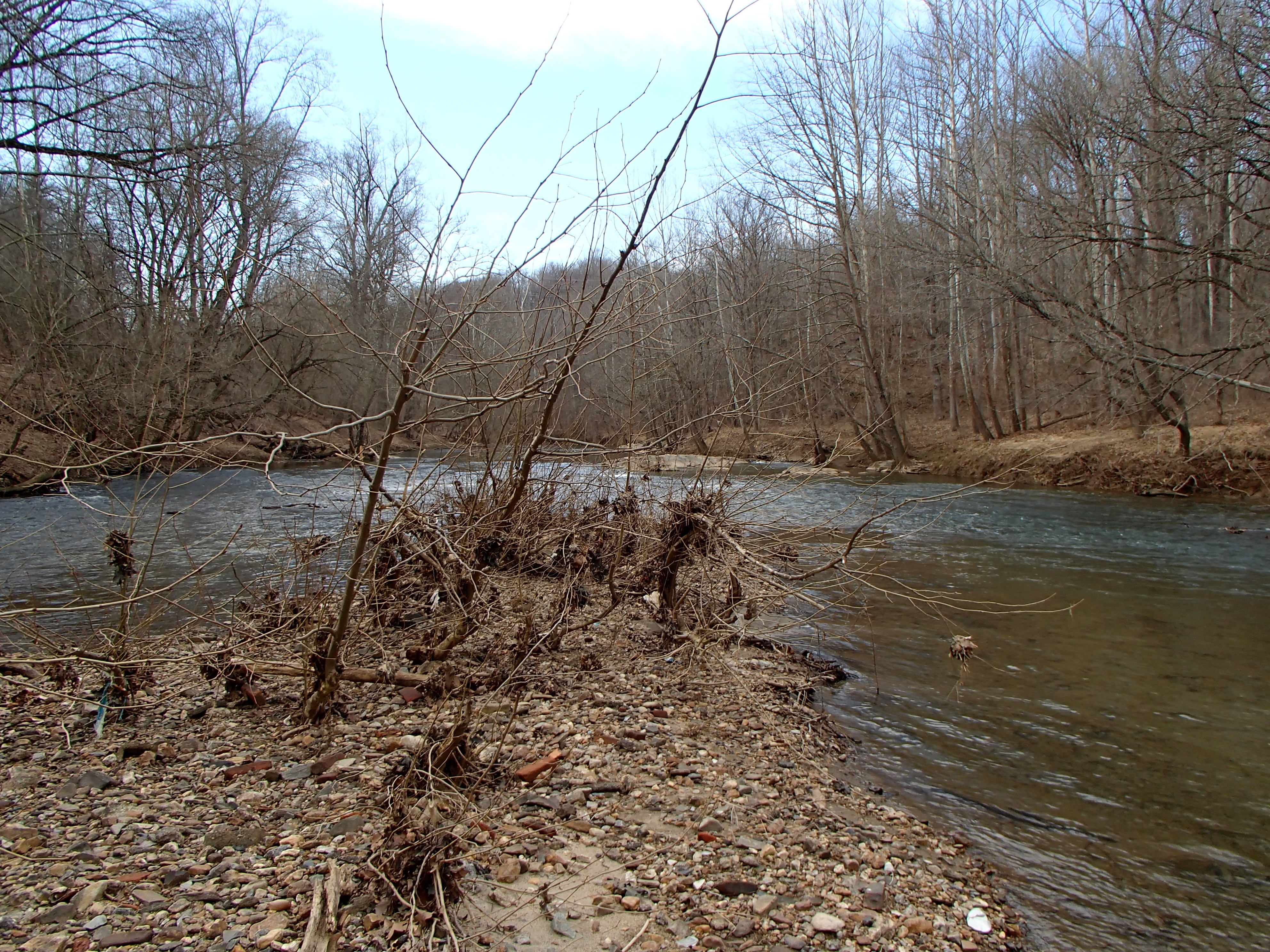 Field photo showing stream conditions at site PATL-510-X-2016_midpoint looking downstream